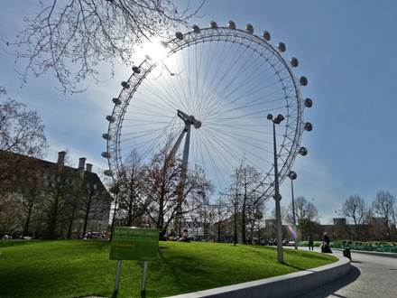 London Eye and Jubilee Gardens