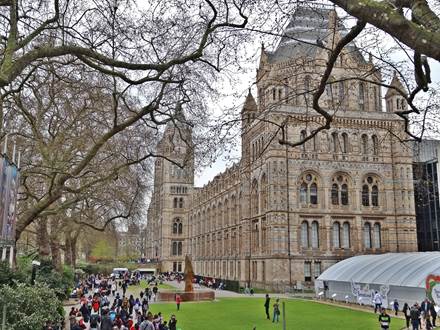 Natural History Museum London - Infos & Highlights