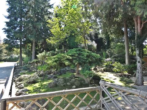 Japanese Garden Schönbrunn