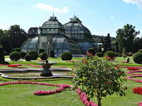 Palm House Schönbrunn