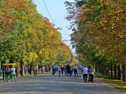 Prater Hauptallee