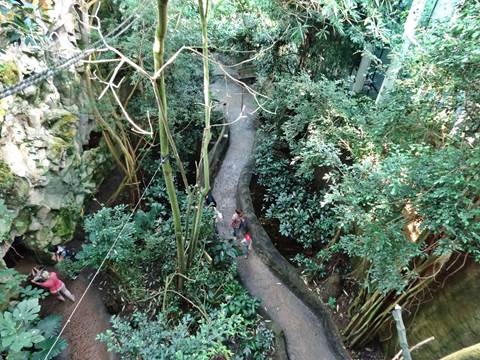 Rainforest House Schönbrunn